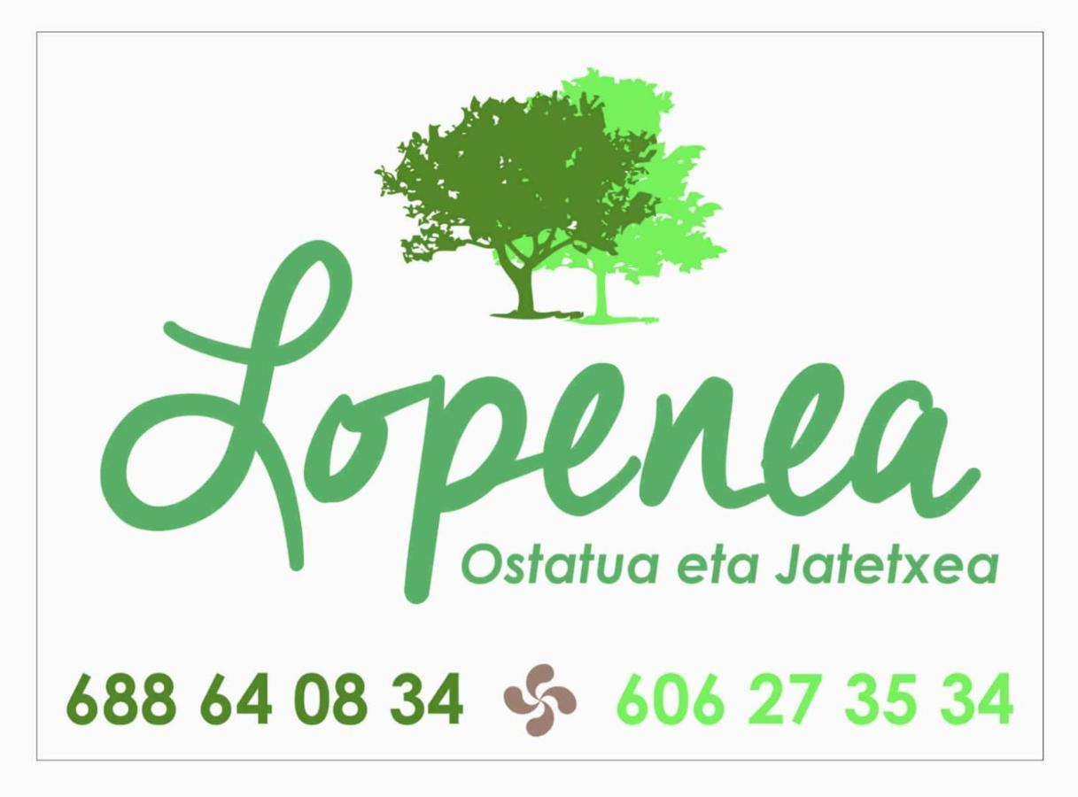 Hostal-Cicloturismo Lopenea Leitza  Dış mekan fotoğraf